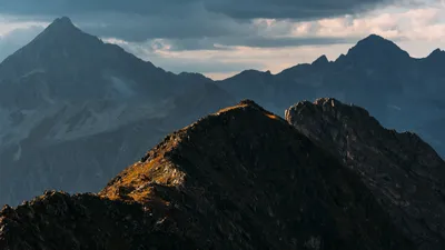 The Digital Wild: Why Rugged Infrastructure Matters